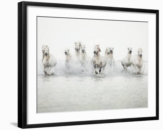 White Horses I-Irene Suchocki-Framed Giclee Print