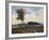 Midafternoon in Madison Valley-Kent Lovelace-Framed Giclee Print