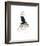 Dior does Ombre-Jessica Durrant-Framed Giclee Print