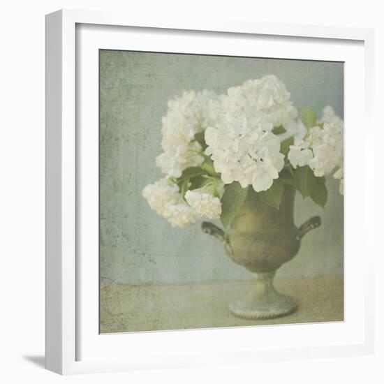 White Hydrangeas-Shana Rae-Framed Giclee Print