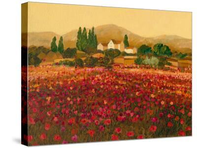 Stretched Canvas Print, , small