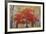 Cascade Fall Colors-Don Paulson-Framed Giclee Print