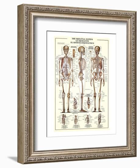 The Skeletal System-null-Framed Art Print