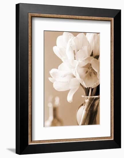 Tulips in Sepia-Christine Zalewski-Framed Art Print