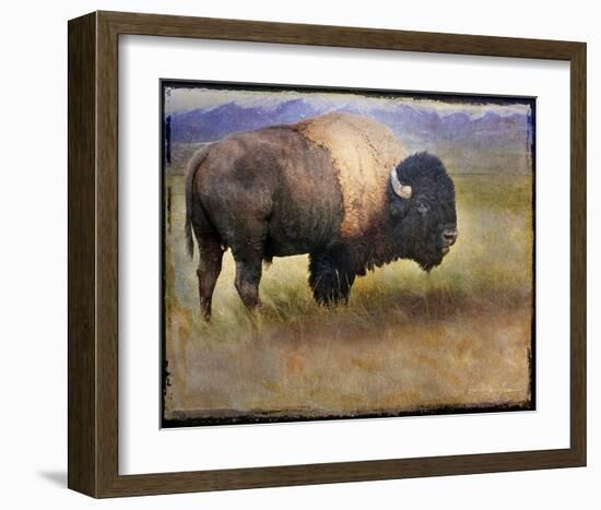 Bison I-Chris Vest-Framed Art Print