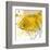 Yellow Fish-Irena Orlov-Framed Art Print