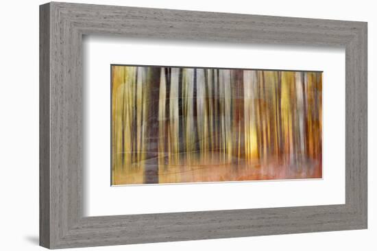 Wildwood V-Sven Pfrommer-Framed Giclee Print