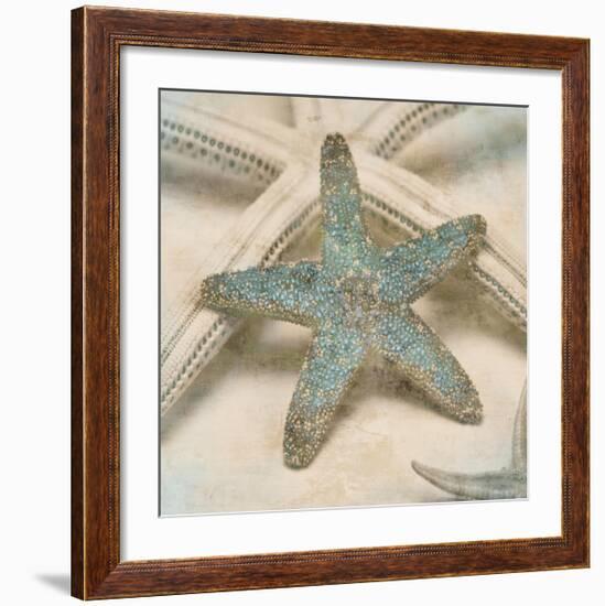 Coastal Gems III-John Seba-Framed Giclee Print