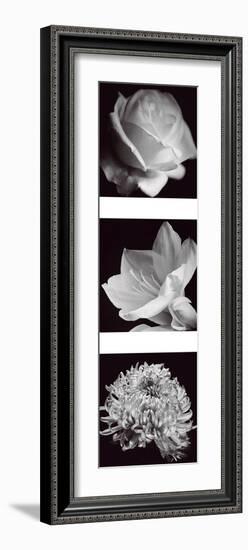 Flower Panel I-Bill Philip-Framed Giclee Print