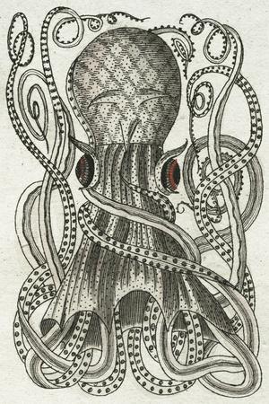 Giclee Print, , small