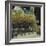 Rue de Cloitre Notre Dame, Paris-Susan Brown-Framed Giclee Print