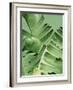 Tropical Leaves 2-LILA X LOLA-Framed Art Print