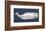 Weathered Whale-Sparx Studio-Framed Art Print