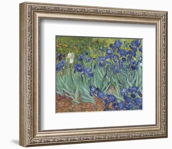 Irises in the Garden-Vincent van Gogh-Framed Art Print