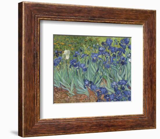 Irises in the Garden-Vincent van Gogh-Framed Art Print