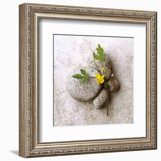 Poppy On Stone-Glen and Gayle Wans-Framed Giclee Print