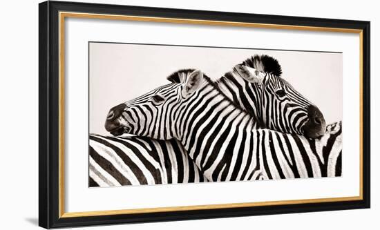 Zebras in love-null-Framed Art Print