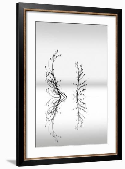Trees With Birds (2)-George Digalakis-Framed Giclee Print