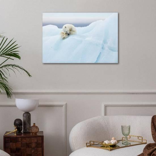 Stretched Canvas Print, , small
