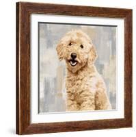 Poodle-Keri Rodgers-Framed Giclee Print