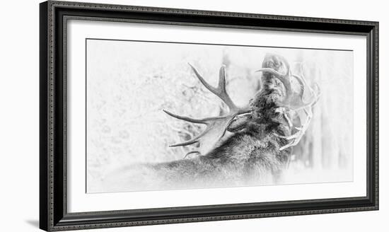 The Call-Wink Gaines-Framed Giclee Print