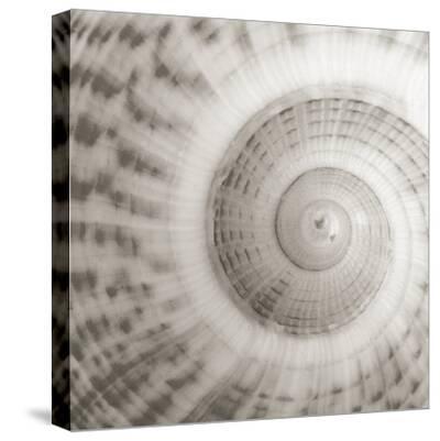 Stretched Canvas Print, , small
