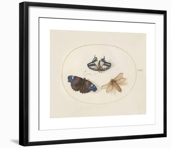 Animalia Collective - Winged Insects-Joris Hoefnagel-Framed Premium Giclee Print