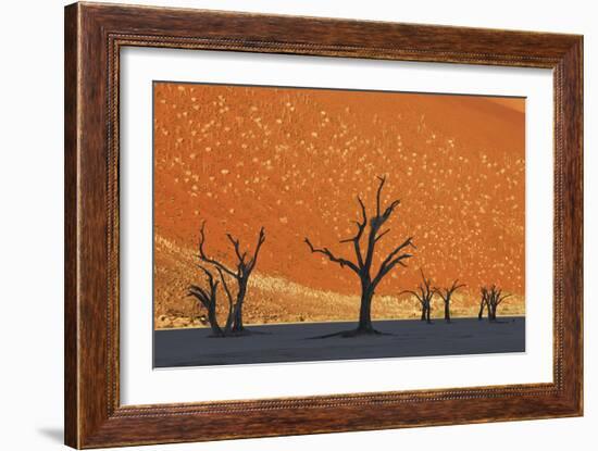 Burnished Skies-Frank Krahmer-Framed Giclee Print