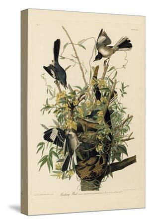 Stretched Canvas Print, , small