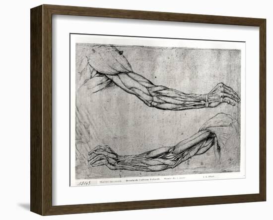 Study of Arms-Leonardo da Vinci-Framed Giclee Print