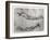 Study of Arms-Leonardo da Vinci-Framed Giclee Print