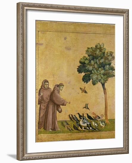 St. Francis of Assisi Preaching to the Birds-Giotto di Bondone-Framed Giclee Print