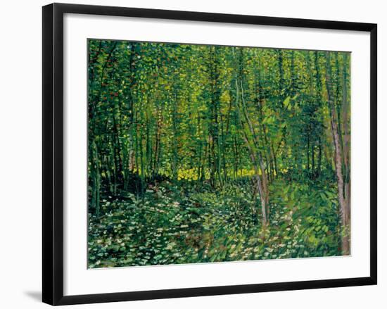 Trees and Undergrowth, c.1887-Vincent van Gogh-Framed Giclee Print