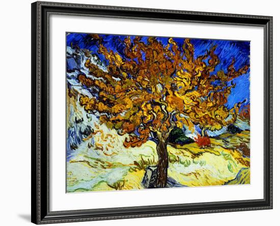 Mulberry Tree, c.1889-Vincent van Gogh-Framed Giclee Print