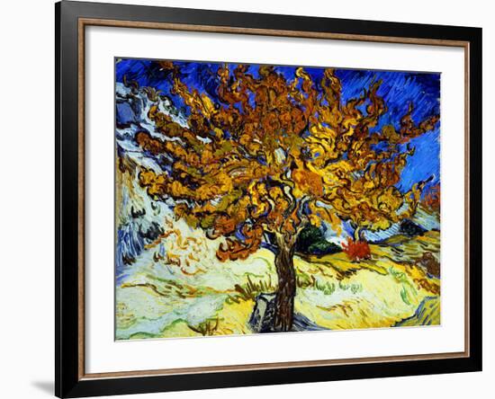 Mulberry Tree, c.1889-Vincent van Gogh-Framed Giclee Print