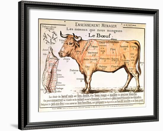 Beef: Diagram Depicting the Different Cuts of Meat-null-Framed Giclee Print