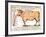 Beef: Diagram Depicting the Different Cuts of Meat-null-Framed Giclee Print