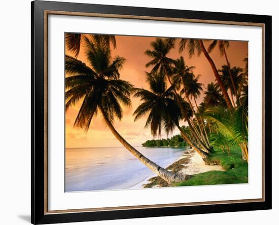 Blue Lagoon Resort Beach, Weno Centre, Micronesia-John Elk III-Framed Photographic Print