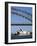 Sydney Opera House and Harbour Bridge, Sydney, New South Wales (N.S.W.), Australia-Fraser Hall-Framed Photographic Print