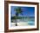 Ocho Rios, Jamaica, West Indies, Central America-Sergio Pitamitz-Framed Photographic Print