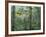 Montage, Owl, Forest, Oregon, USA-Nancy Rotenberg-Framed Photographic Print