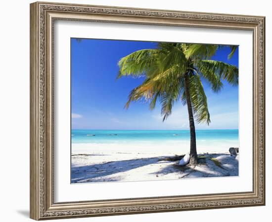 Palm Tree, White Sandy Beach and Indian Ocean, Jambiani, Island of Zanzibar, Tanzania, East Africa-Lee Frost-Framed Photographic Print