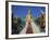 Golden Buddha Temple, Koh Samui, Thailand, Asia-Dominic Webster-Framed Photographic Print