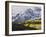 Sneffels Range with Aspens in Fall Colors, Near Ouray, Colorado-James Hager-Framed Photographic Print