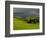 Farm near Colfax at Dusk, Palouse, Washington, USA-Charles Sleicher-Framed Photographic Print