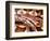 Dumeril's Boa, Native to Madagascar-David Northcott-Framed Photographic Print