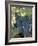 Wine Grapes, Vineyard, CA-Mark Gibson-Framed Photographic Print