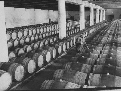 'Cellar of Maturing Wines as Wine Maker Tests with Pipette