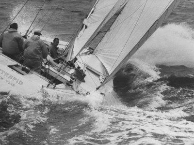 Photographic Print, , small