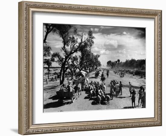 Sikhs Migrating to the Hindu Section of Punjab After the Division of India-Margaret Bourke-White-Framed Photographic Print